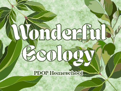 Limiting Factors - Wonderful Ecology 9/21/2026